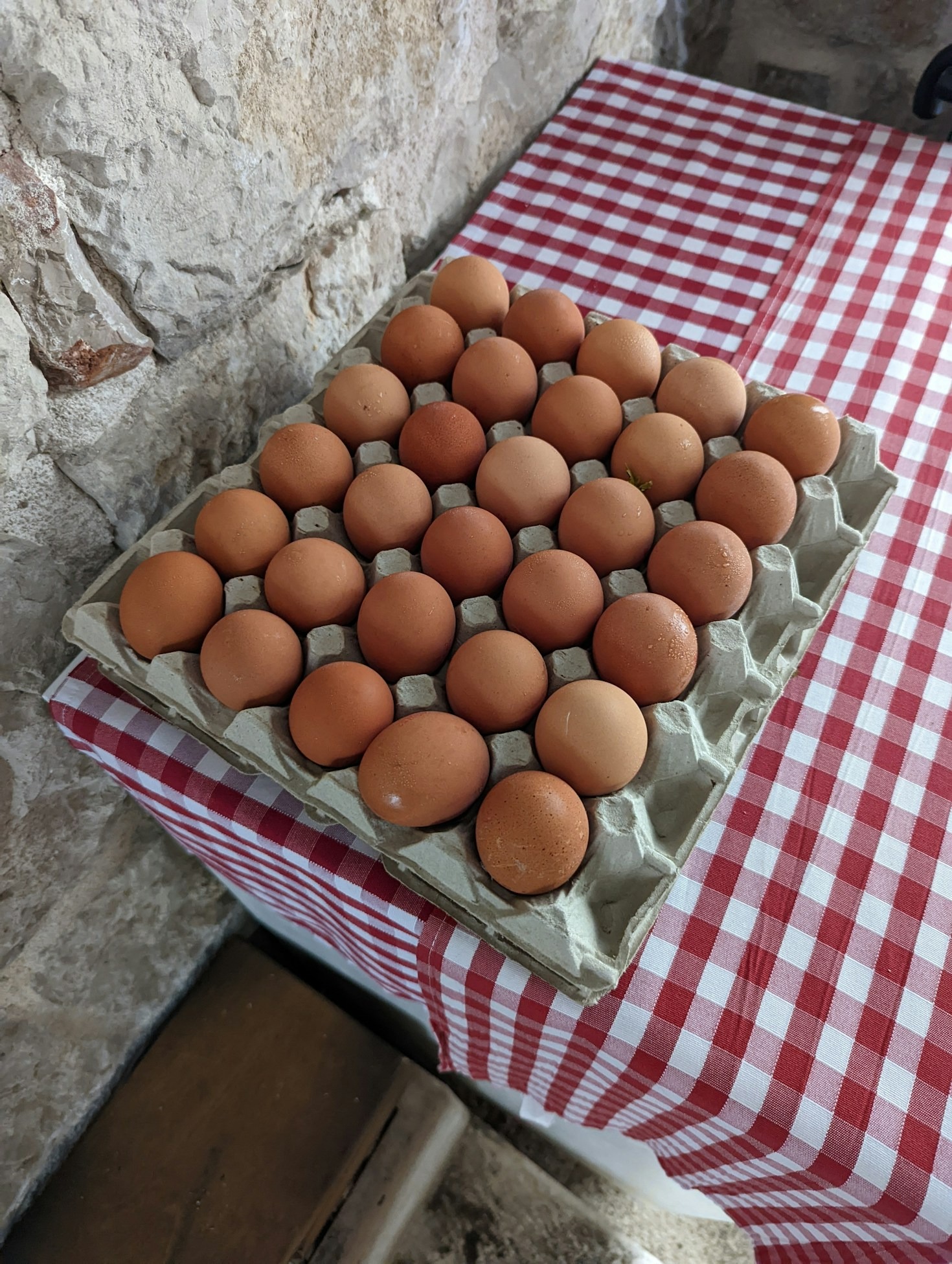 Why Falconers Prefer High-Quality Live Quail