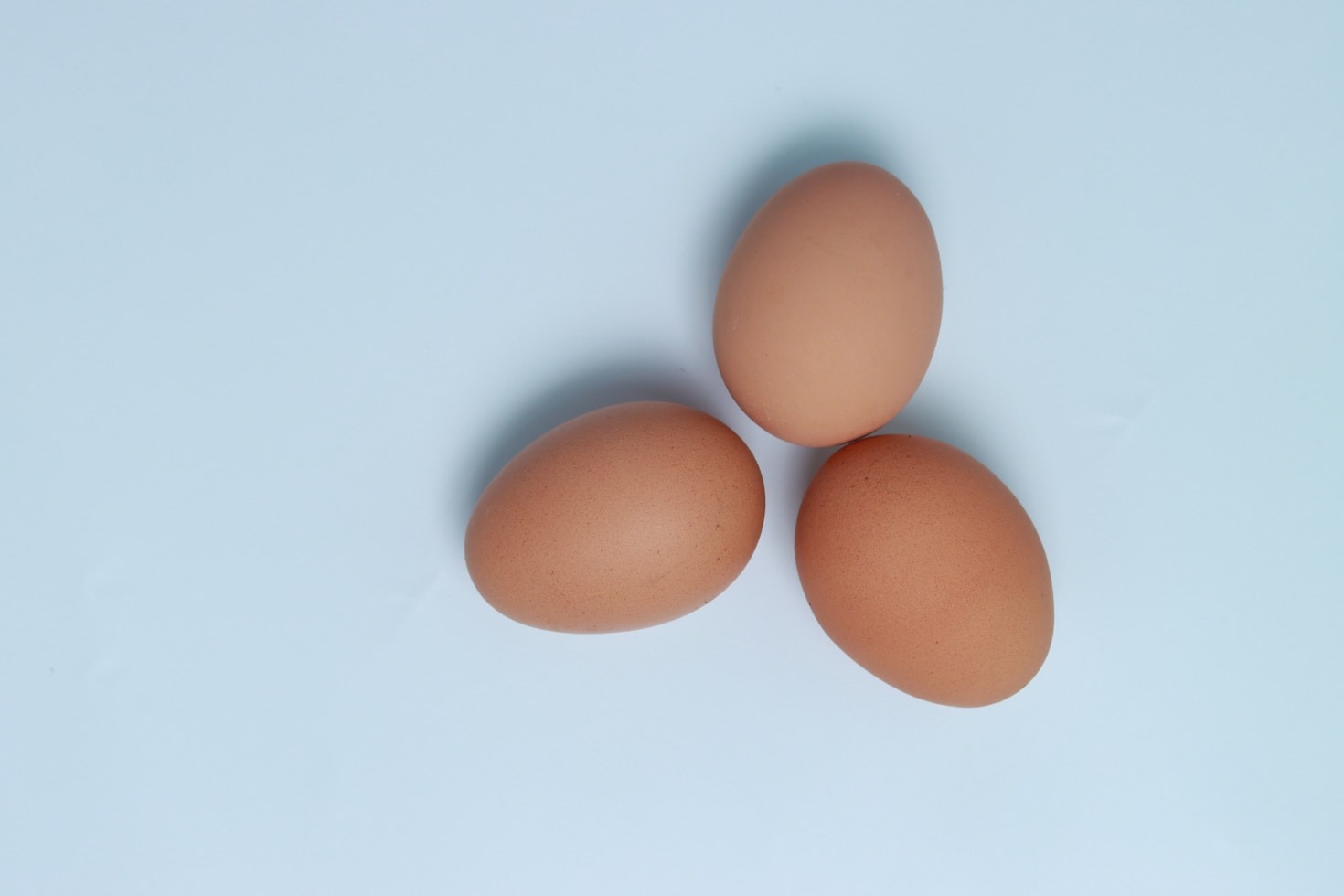 The Role of Quail in Reptile Nutrition